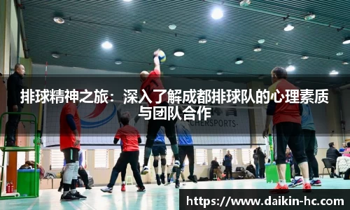 排球精神之旅：深入了解成都排球队的心理素质与团队合作